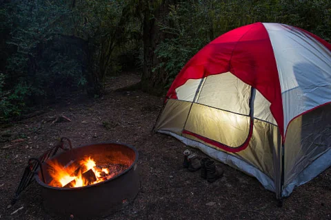 kodiak tent