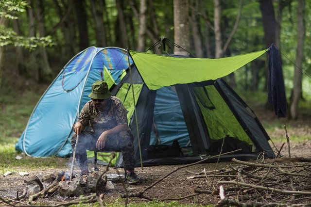 Why a Luxury Camping Tent is a Must-Have 6 man 6800728 640