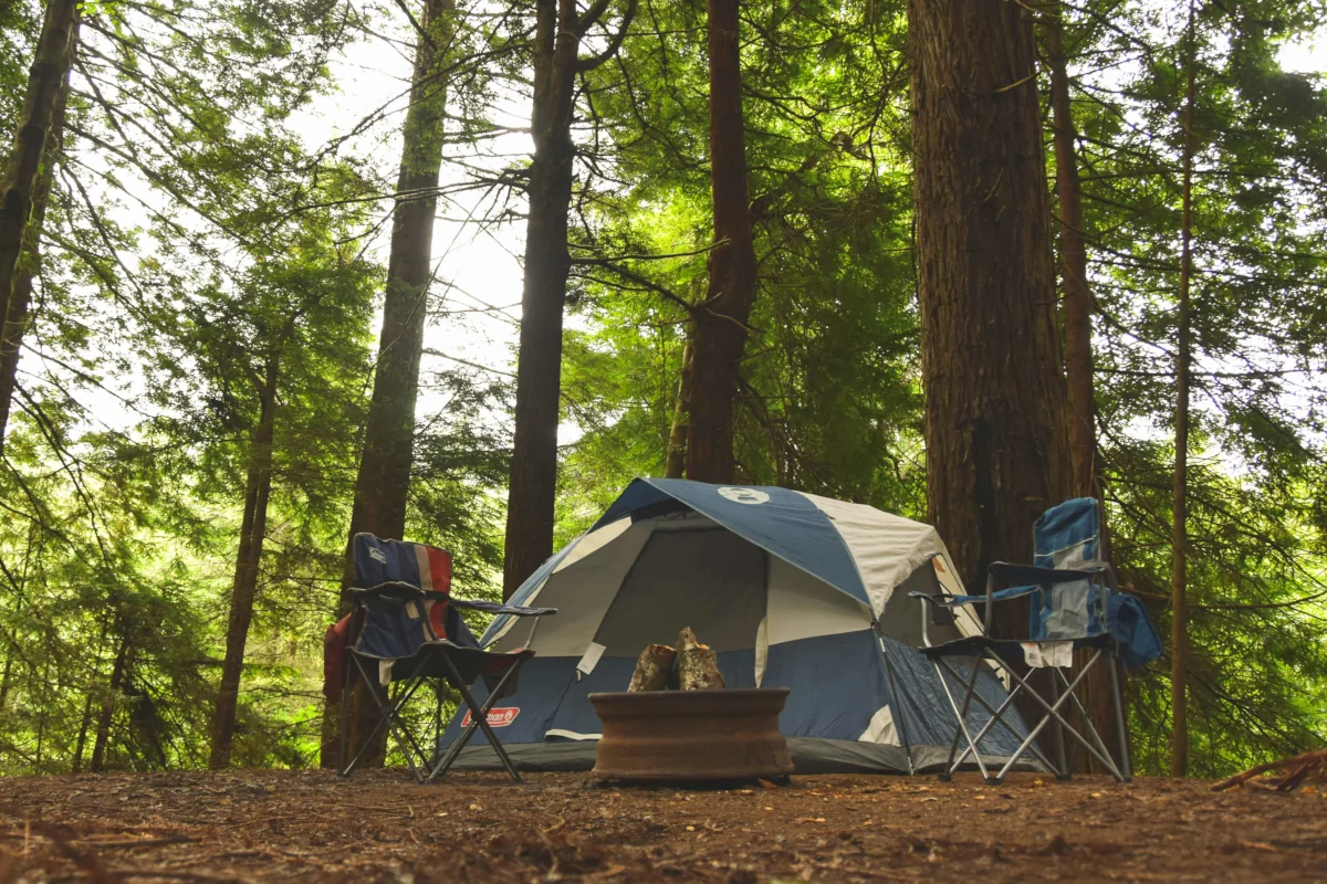 everett mcintire BPCsppbNRMI unsplash min