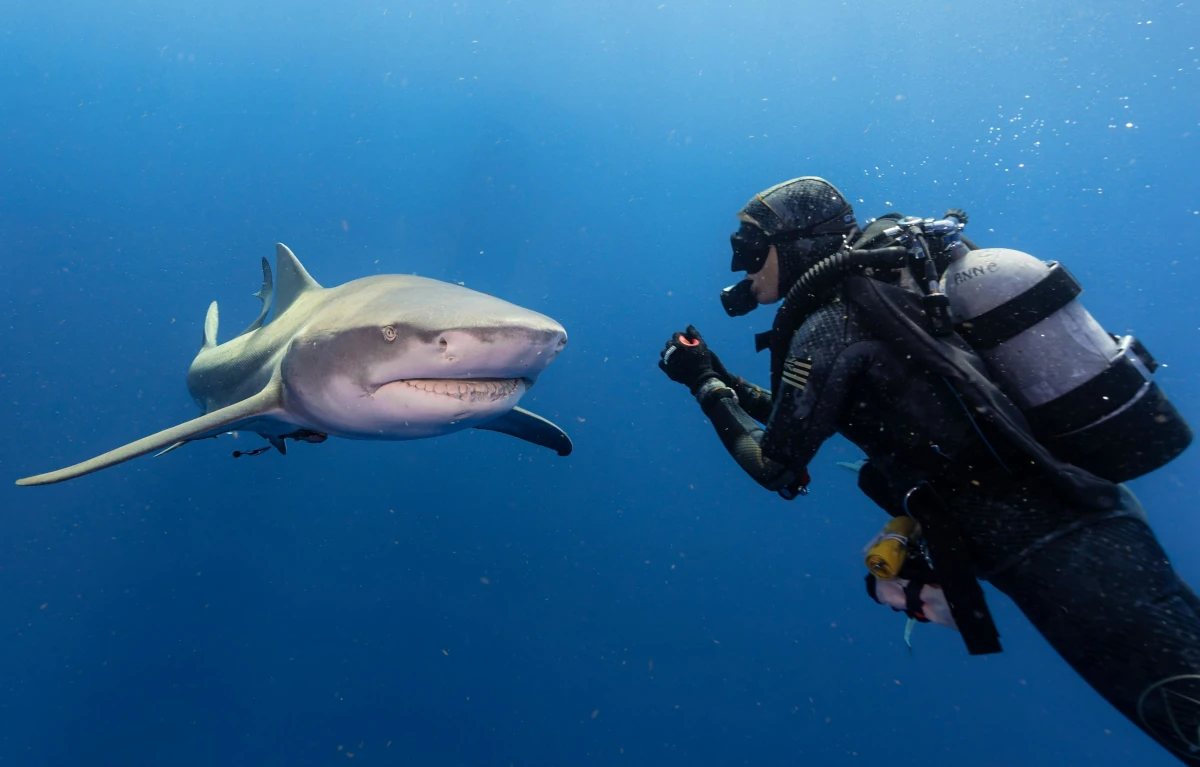 Explore Top Adventure Destinations In Europe: An Exhilarating Experience 12 schnorkelling-shark